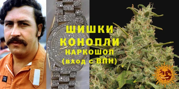 прущие крисы Няндома