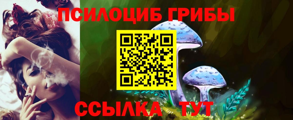 Галлюциногенные грибы мицелий  Вход с VPN  Псилоцибиновые грибы Psilocybe  Выборг 